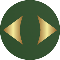 Google Drive Diff & Sync Logo